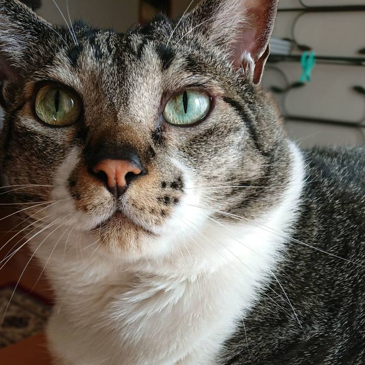 6712af5a 5d48 45a4 b439 e0047833b2ae 1527893250997