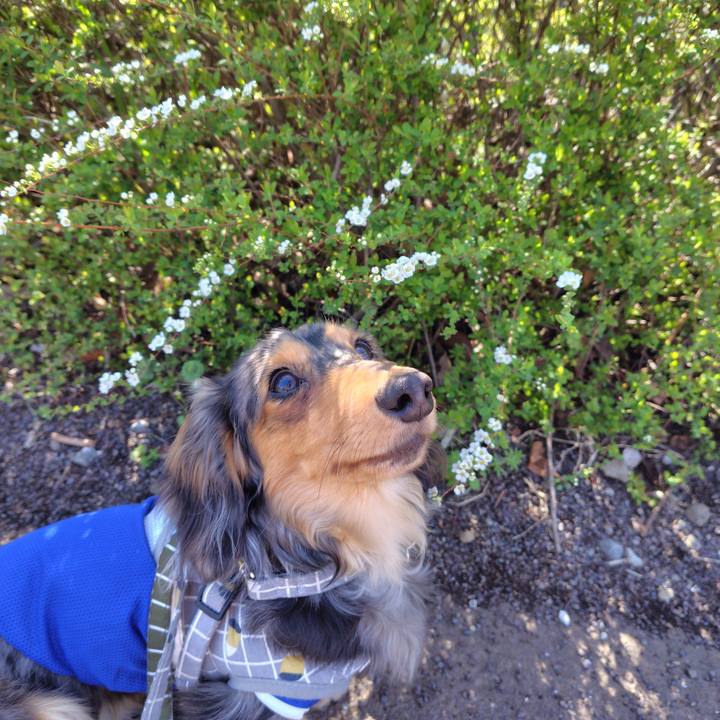 6712bd6c 3e66 417a 9ffa e0edadd30a57 1711539885317