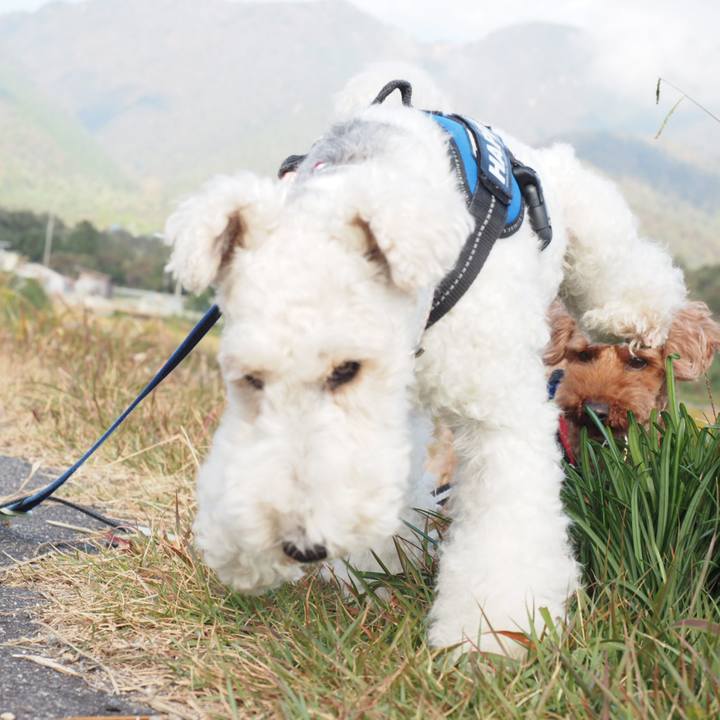 6712cd8c 8d49 4881 a395 176074fbfc8e 1541214481202