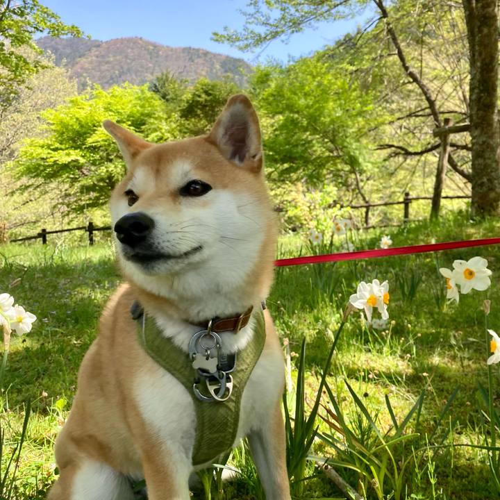 6712d3e2 3ab5 49a2 aa0d b37ea9c0b425 1682163191413