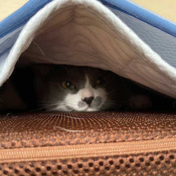 6712e566 13eb 4cdf 951a 6b9dbd98ba1d 1660437107970