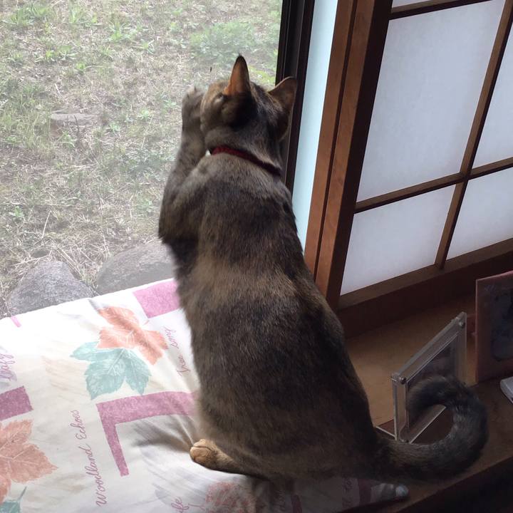 6712f261 ef15 4fe7 a84c cfb4c6621f1e 1585267078681