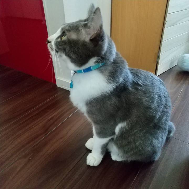 6712fb8d 35e7 489e bdbf 76dbd8357391 1618102531903