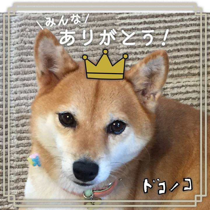 671379d2 7a5a 44be 81c6 e076a0d2459b 1622888503930