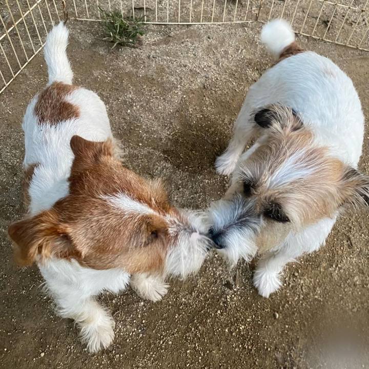 671383e8 11e4 4087 a7a9 c0842f410344 1695820934007