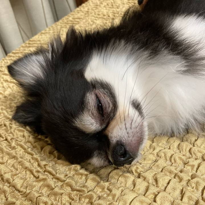 6713a8d5 4f25 475f 888b 0e4aedc582f0 1656856474517