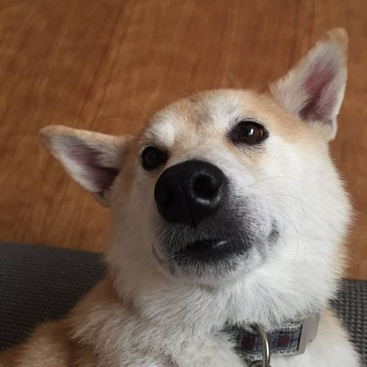 6713aa30 2785 4ef6 9eac c2de911502ca 1512059505928