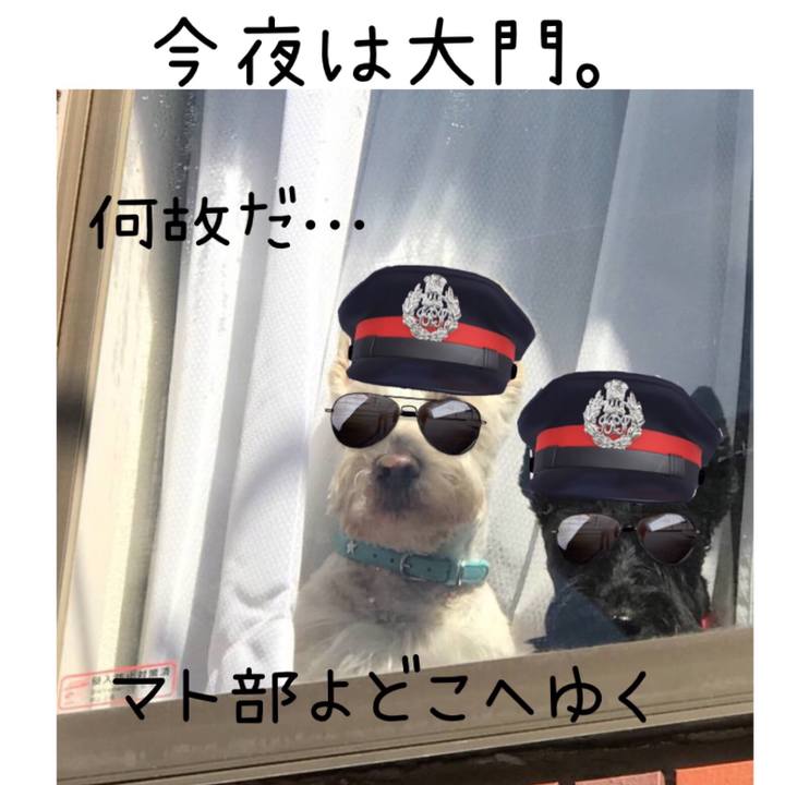 6713d8cf 72b3 4cb0 8228 9a75daf157b9 1566648693507