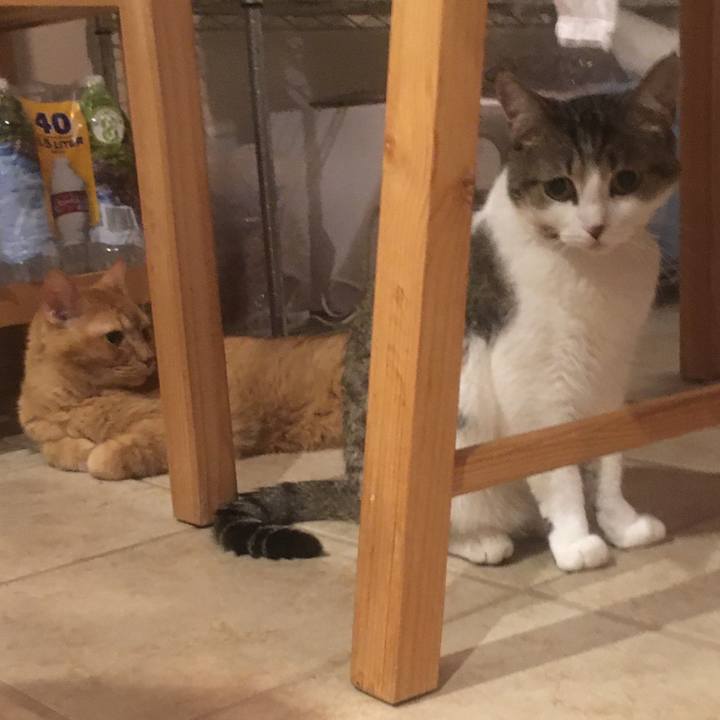 67140336 06f9 486a 8c40 b47346bfd037 1655337652086