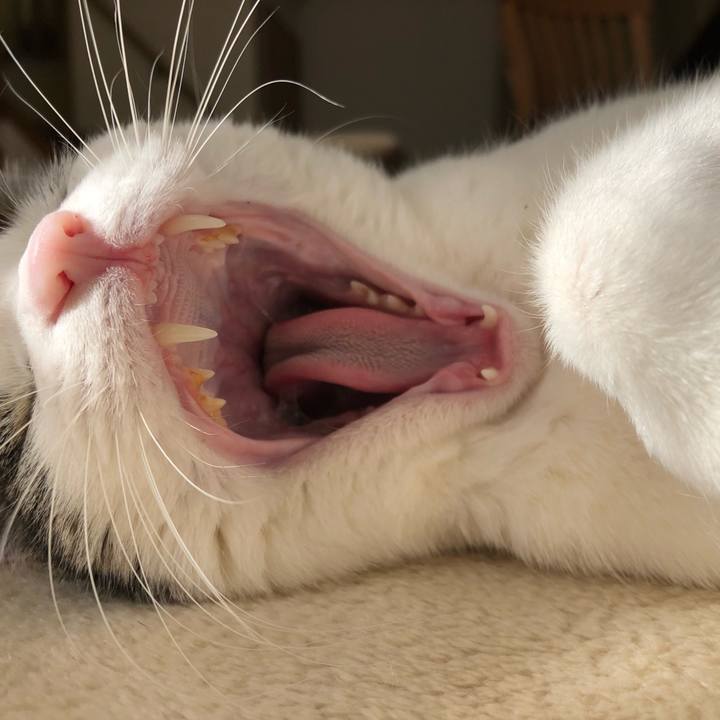 67140cf2 dedc 4de0 ab96 12bea07b6a14 1674888699877