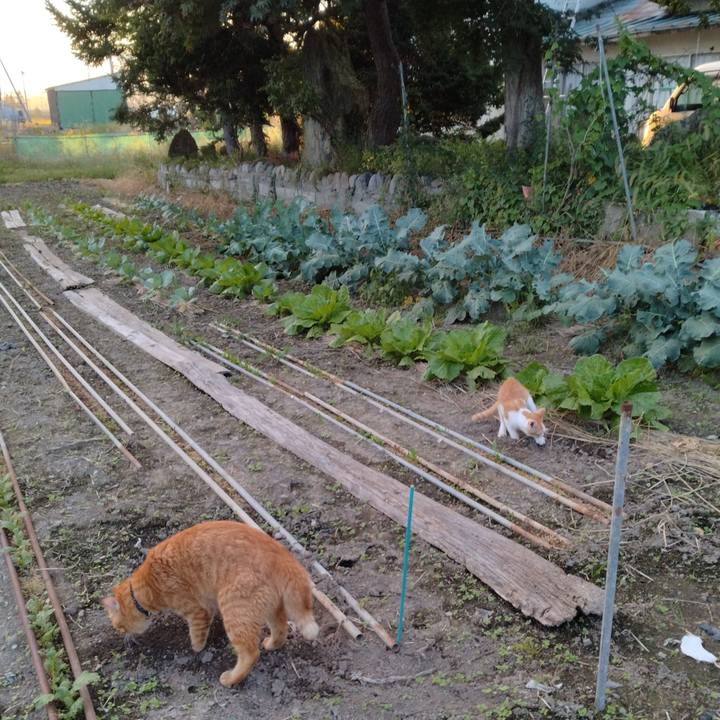 67143061 5487 4f3b 9499 70f78848c7d3 1727771369655