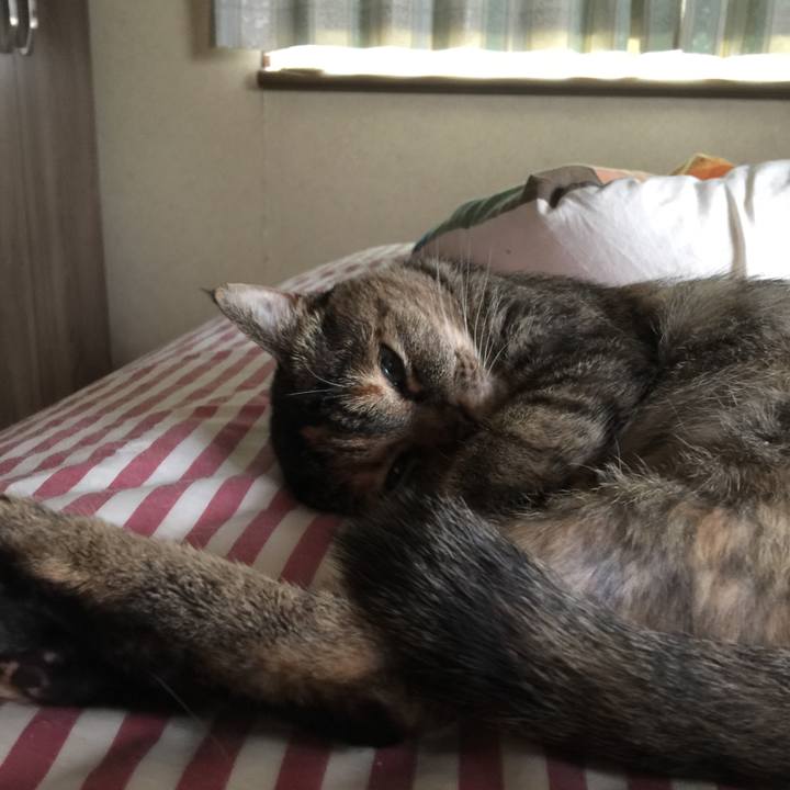 671463bb fec6 447c 8f80 f4e5c2e71d8b 1531269283912