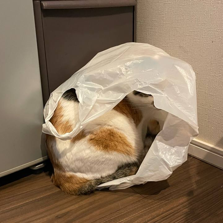 67147767 3456 43f4 b461 86e7a3a62b25 1730518089194