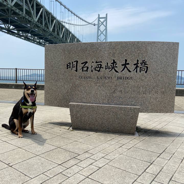 6714d117 bfc6 47cc 9671 4763cfde199d 1624578578227