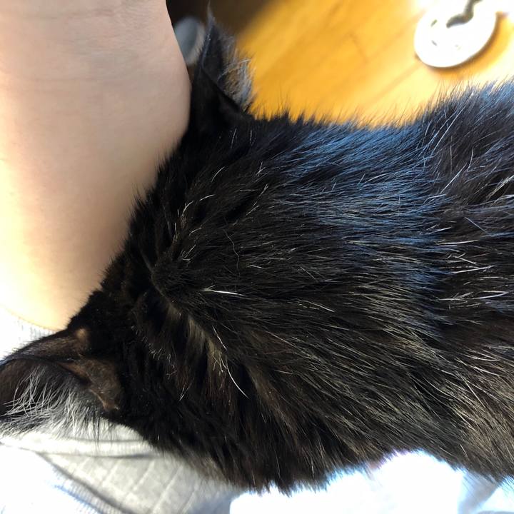 6714e4db 72e1 4174 8aa2 59871dc534eb 1574548301451