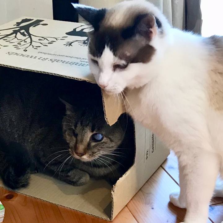 67151439 6152 4c39 8617 7928ca3380c8 1559176882587