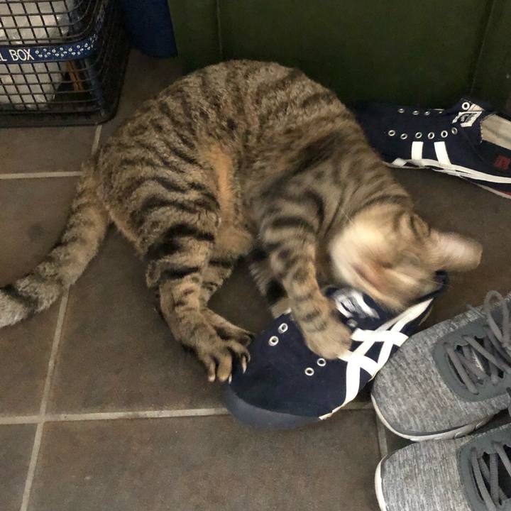 671549f1 3fd1 44a9 b2bf b7405e2937eb 1598716186377