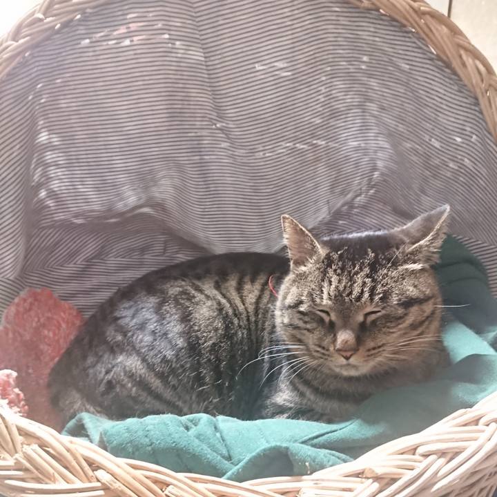 6715683c bd9c 42d7 b114 bcec30d61872 1642855460430