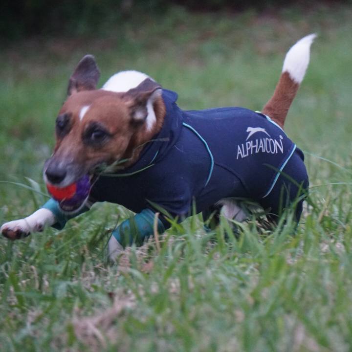 67158679 c2e5 434f 8ffa 112378f5525d 1542064041021