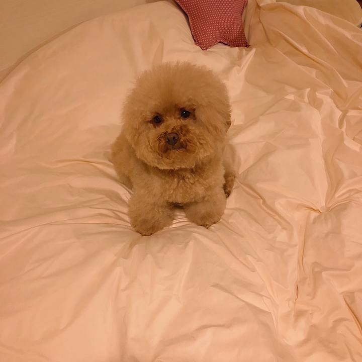 67158c99 49b8 425d 8138 ff71ce61677f 1533647382408