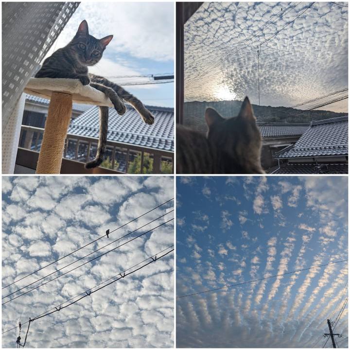 6715a040 e21d 44f9 a027 3a4cc8a297f3 1711201930754