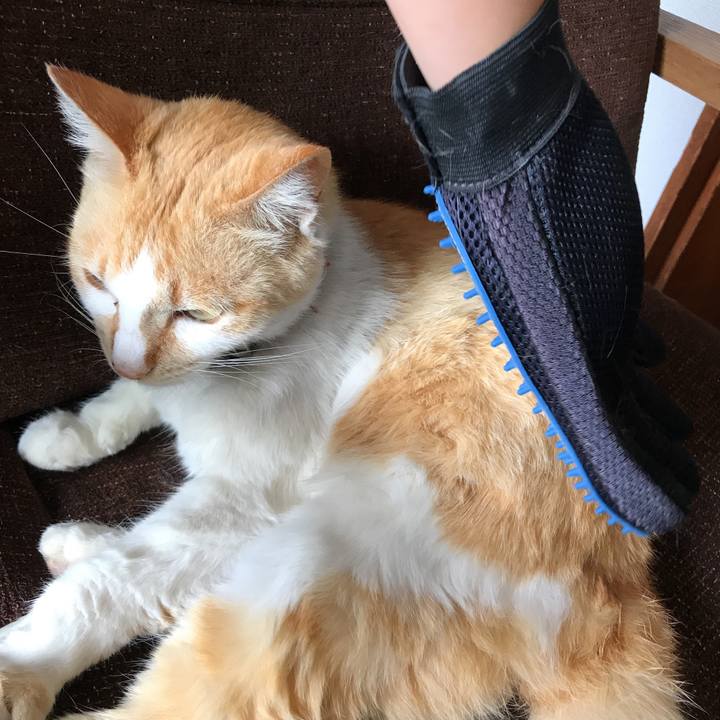 6715a660 eb2b 42b1 bbef 639b2b898ac1 1526176474634