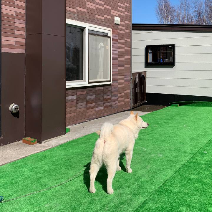 6715aa0f 14db 41a0 99bb 2bcf17229431 1585892220297