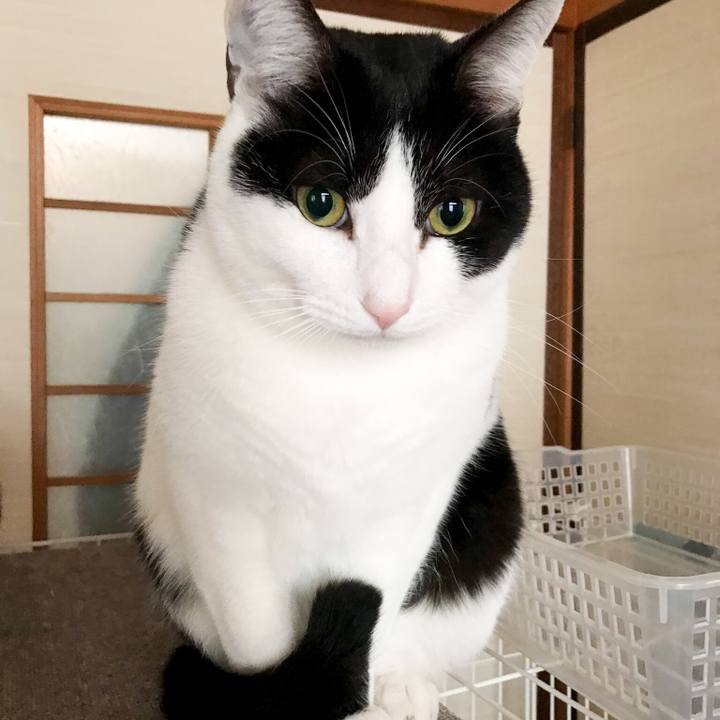 6715d1ee 7d91 4134 9072 b25dcebf5b8e 1517410322141