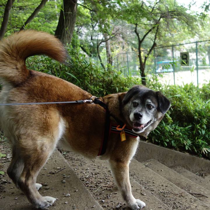 6715d541 02b4 4e7e 9d96 f02e8d0fd793 1639698982762