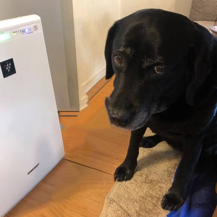 67161bd0 b4ba 47bb aeb8 1924ecc4b68e 1587080215113