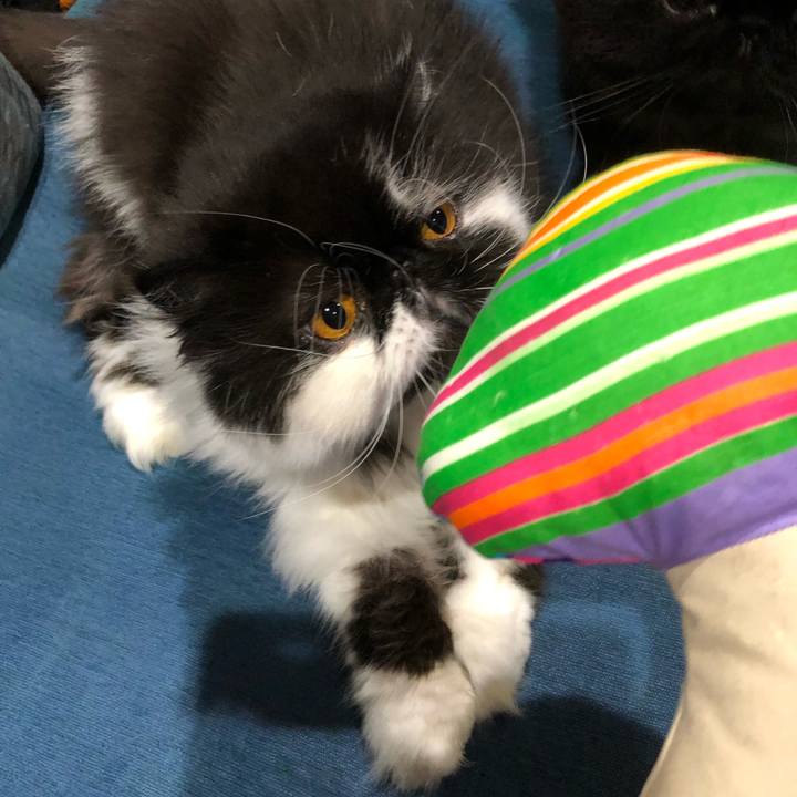 67163734 974c 4ae0 8210 030c5dbfb2e0 1632569288095