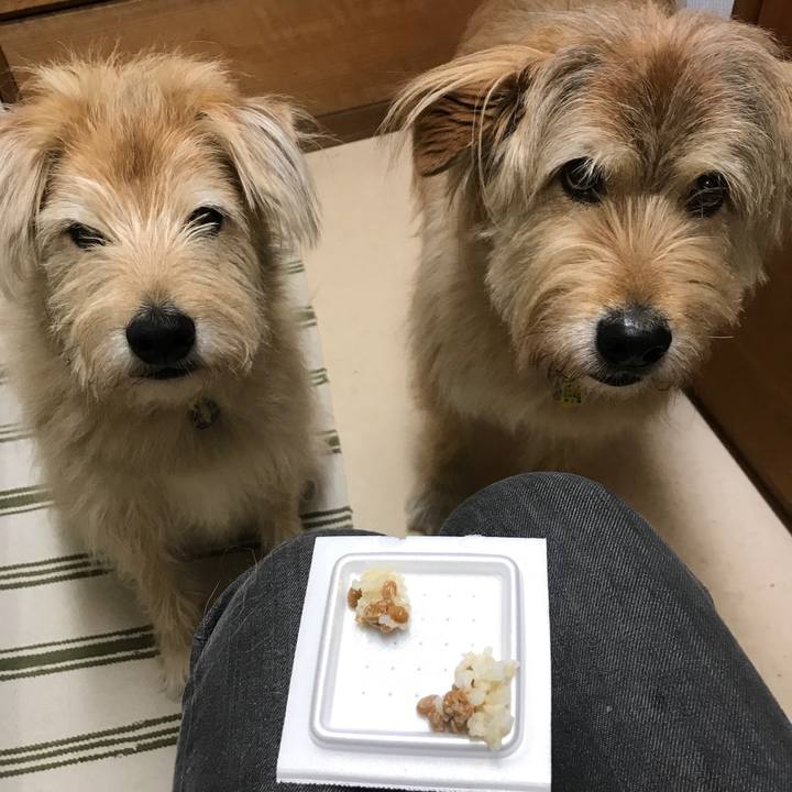 67163b75 3f75 4284 9d5a 64b06ce69ca7 1560576886043