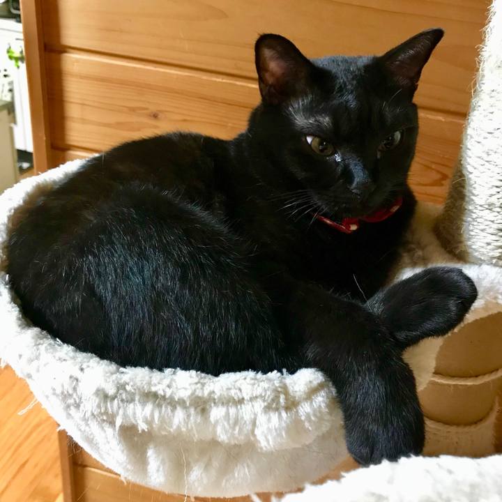 67164363 2f3e 45c2 aa89 45d4b9a773a8 1509704885206