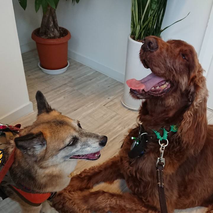 67168bf8 8a48 4a18 9b8f 961963c65485 1561815924372