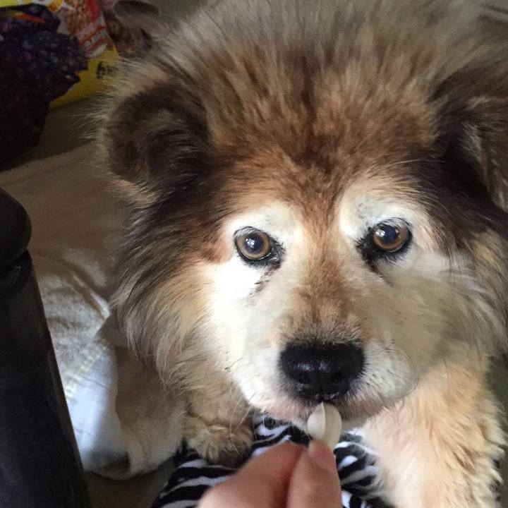 67169329 0777 4038 b40a 7376b01c4e85 1570062897836