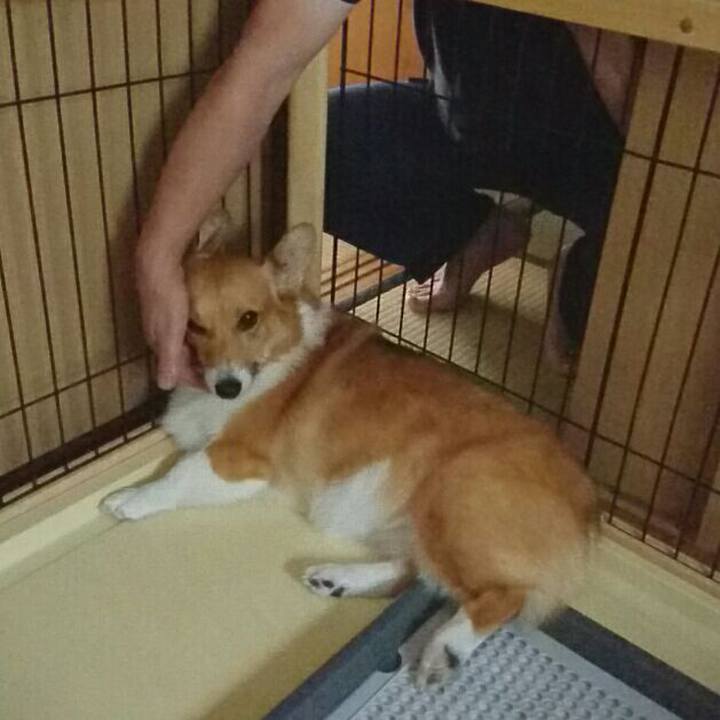 67169782 52f2 4beb 8e89 b9aa5fb43cf1 1529397685383