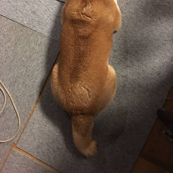 67169f71 b81b 4507 94c1 f49a4a63ee72 1539335673387