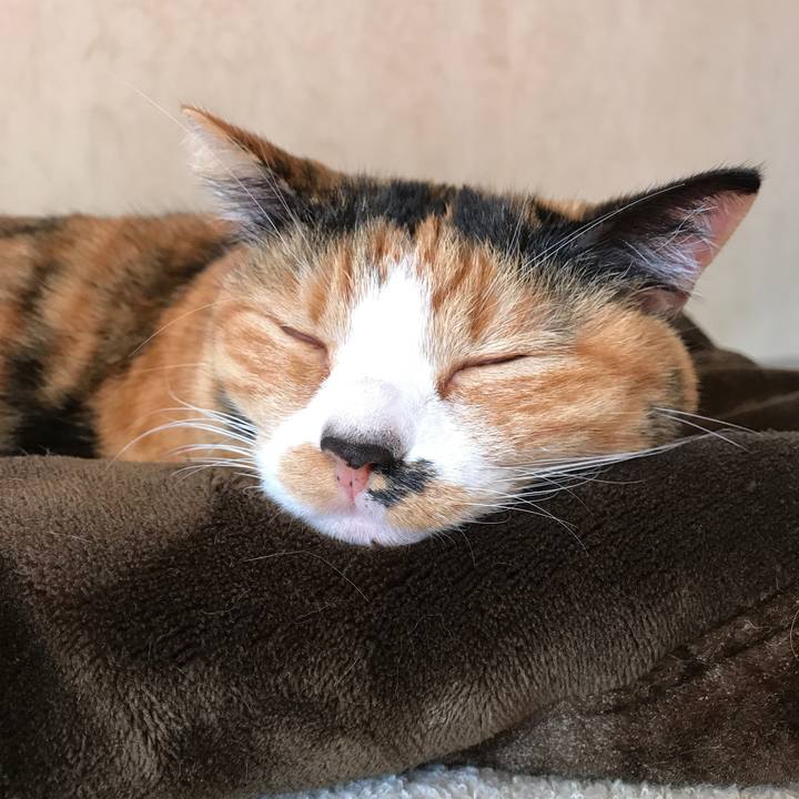 67169f79 8b00 4db1 9c9e 6832d4065015 1510199213366