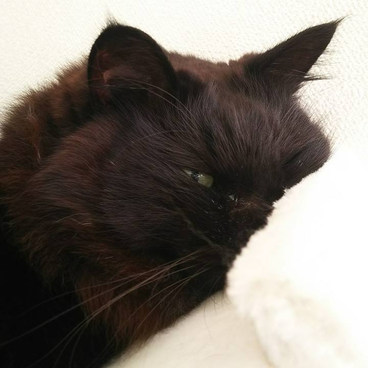 6716bd56 a9b3 4379 afd5 5d6011537e5c 1549161895362