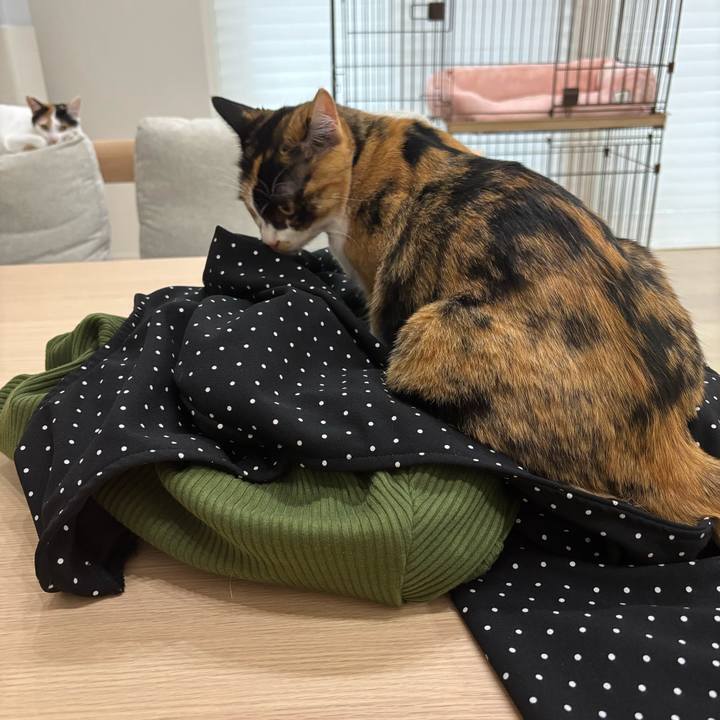 6716c037 3160 42f7 b11e 5264d4b58b58 1775271434544