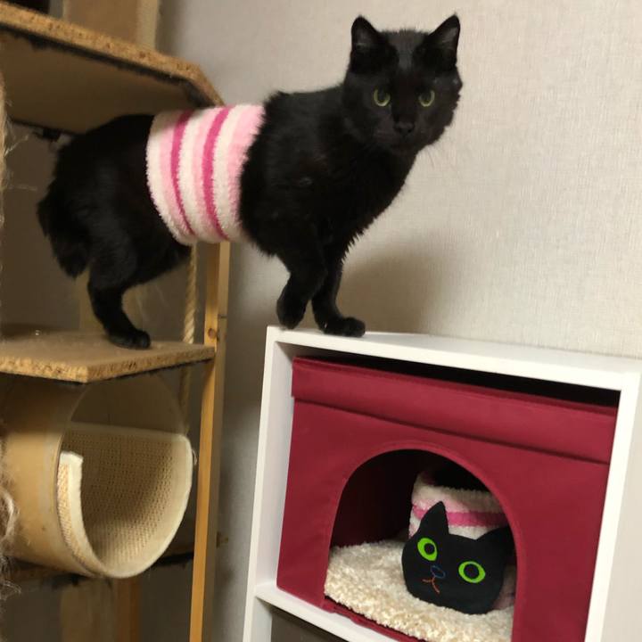 6716d493 3566 40d5 9acd d4f40a0fcb3d 1587473225722