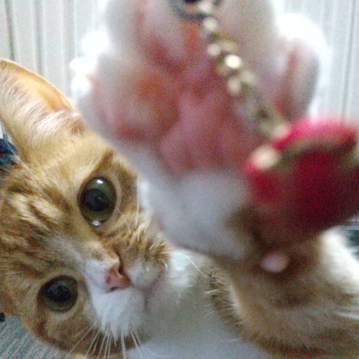 6716d833 c1c7 4991 a45a 7cabe27a02ab 1642329495567