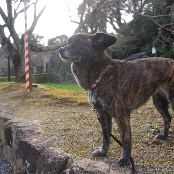 67171fc0 55ee 4e45 b6e5 e4efebf2ed04 1523674148130