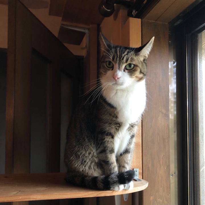 67172a29 88aa 47dc b049 f2e79ef64918 1635825269065