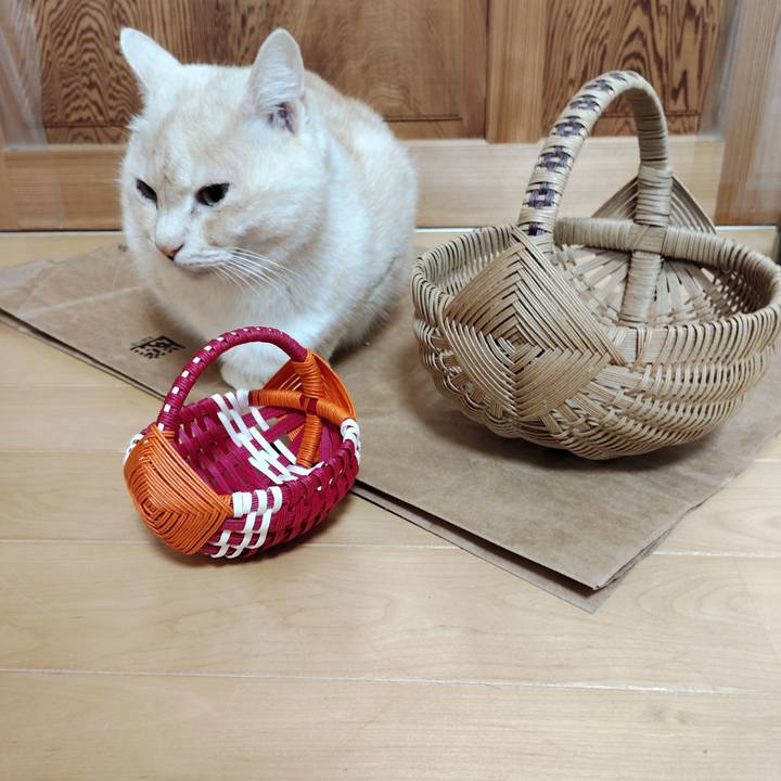 67173c87 b960 4d2c b0cc 1419564ee760 1772059824707