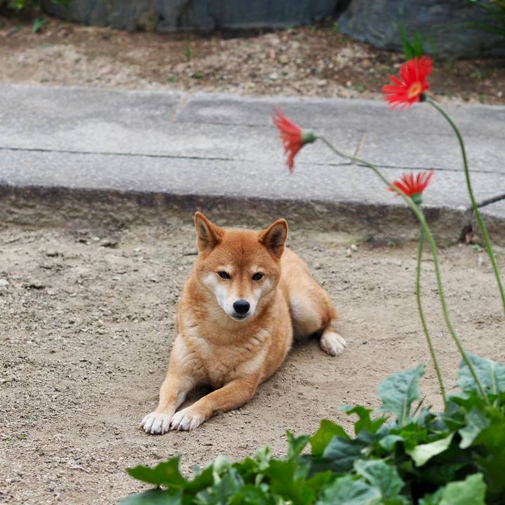 67178be9 943d 4068 8738 ec6d9920d464 1760310831184