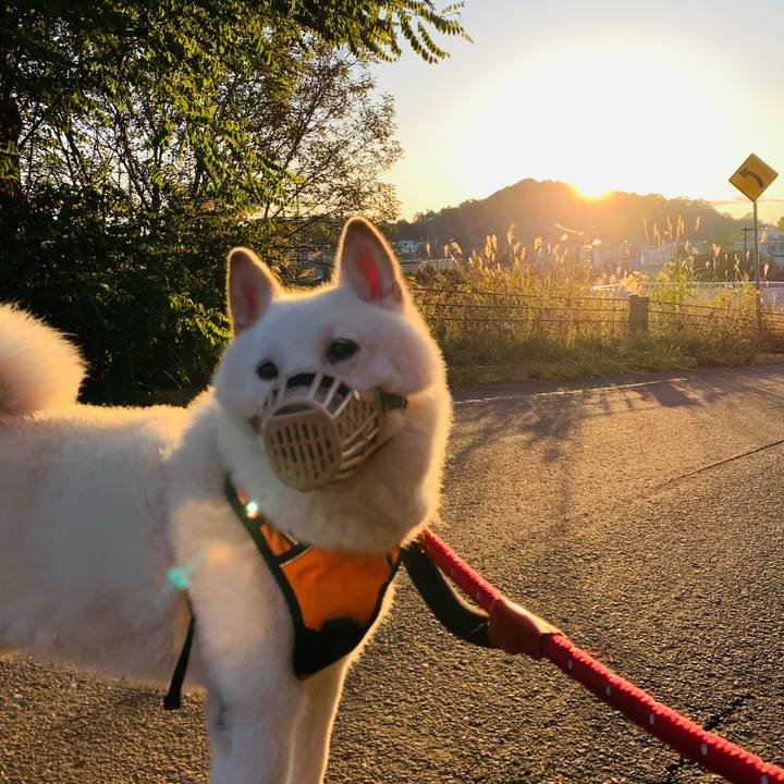 67179959 066b 4e26 9180 f9a2b36d27a9 1665265336487