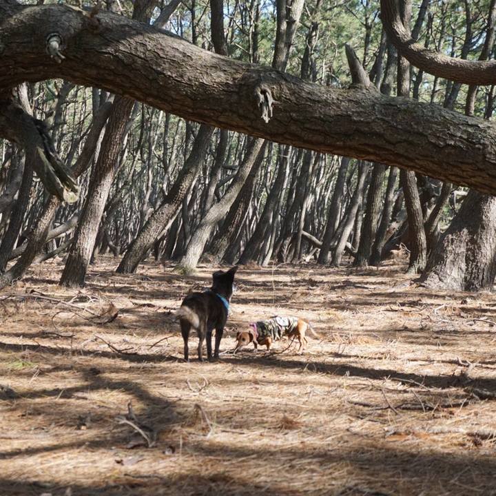 6717a382 8d77 4715 8379 91bf782407b2 1605183206741