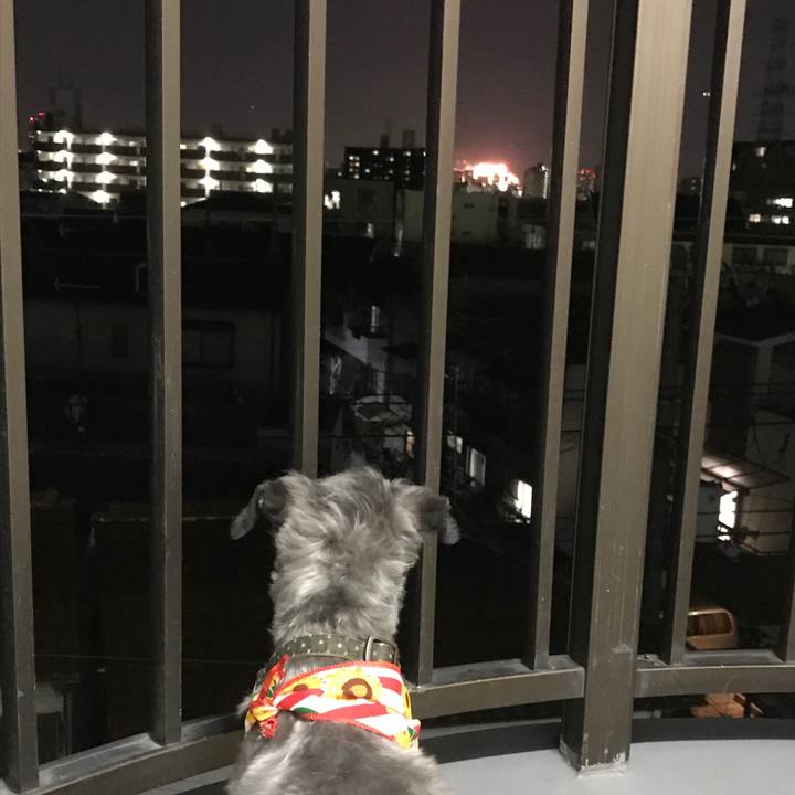 6717ae70 8222 4b91 a044 0e6f2a434955 1533382160158