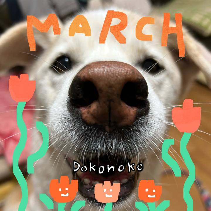 6717b56f c042 4ce6 b40f 68ccc0a958b1 1741173361925